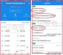 有前提分辩和刺破